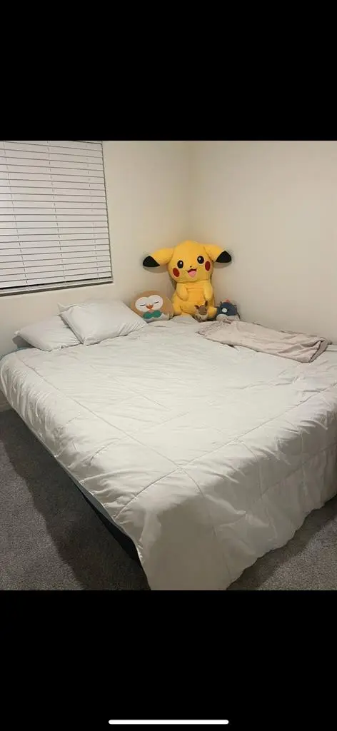 Looking for a Roomate