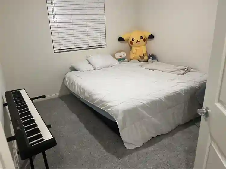 Looking for a Roomate