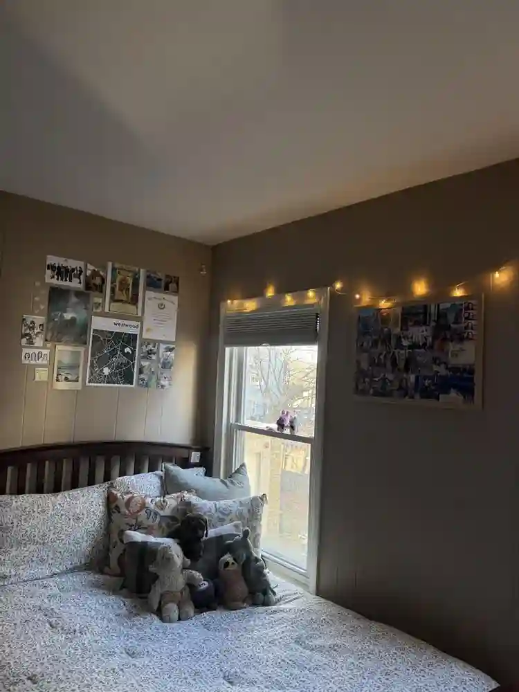 Cozy furnished room in Somerville