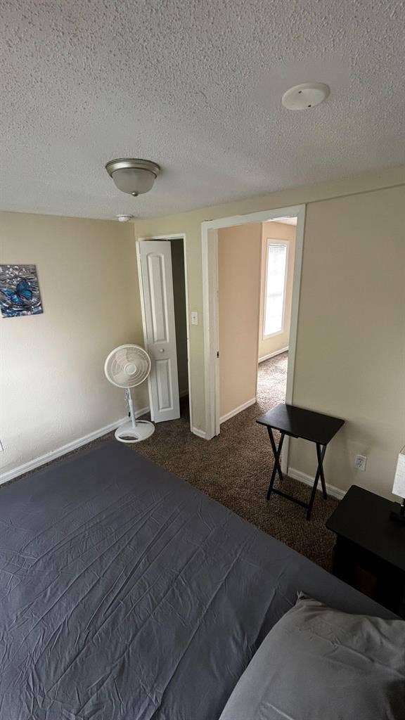 3 BR in Tampa