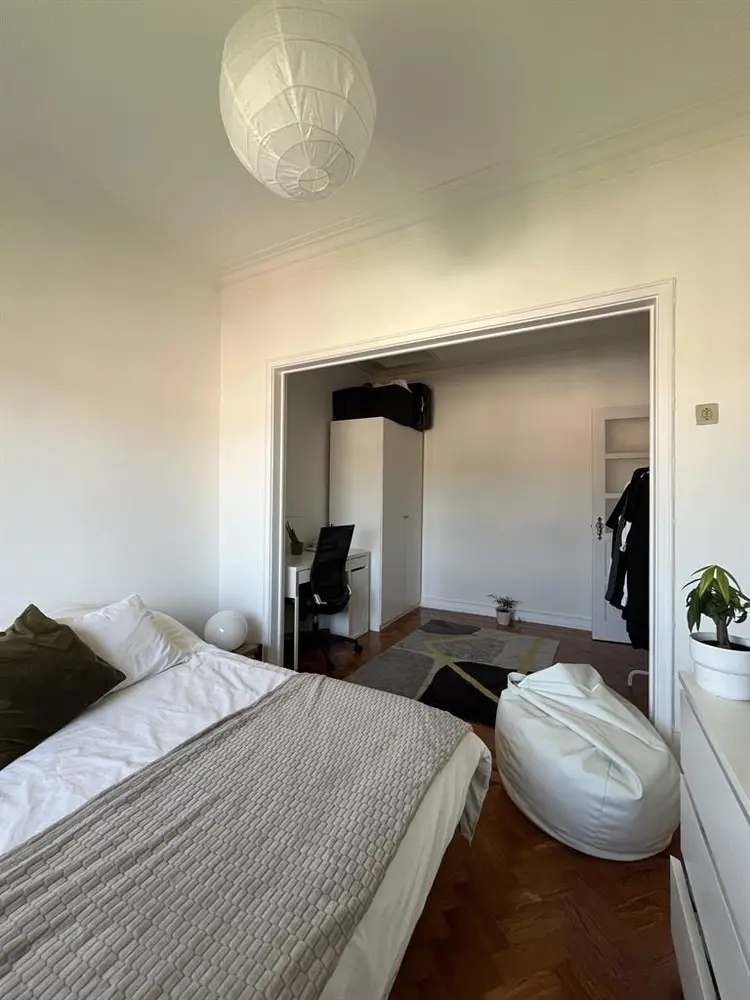 looking a nice rommie