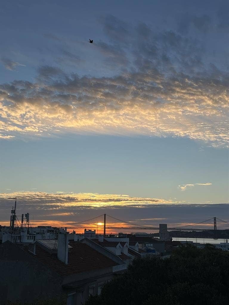 looking a nice rommie