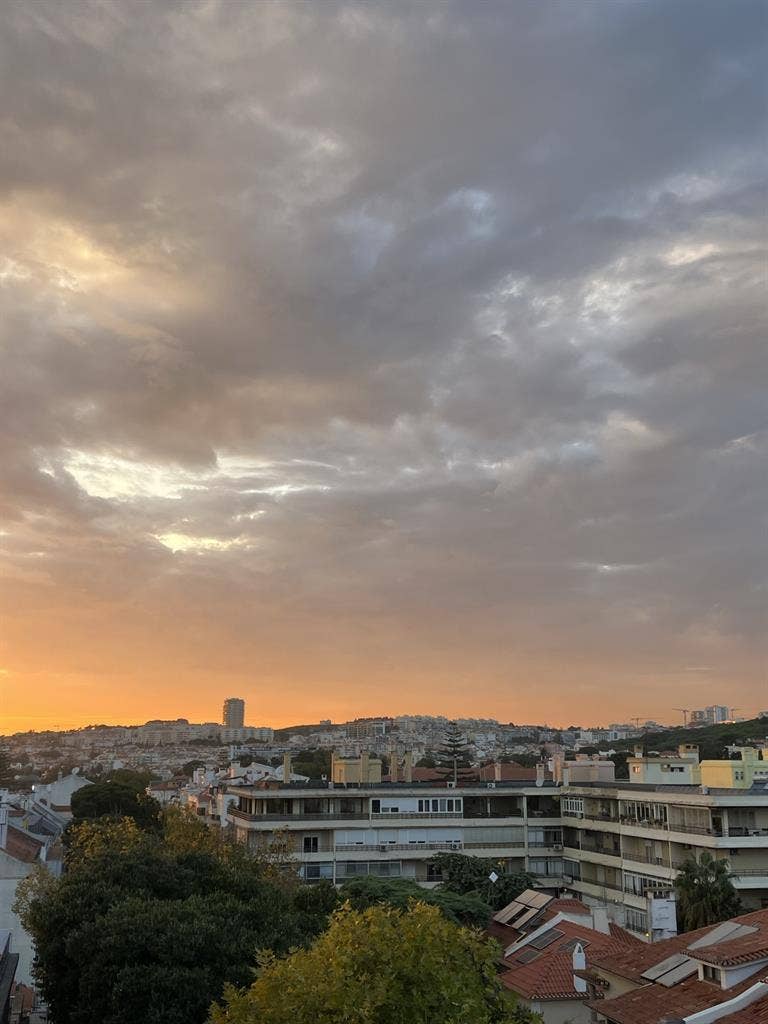 looking a nice rommie