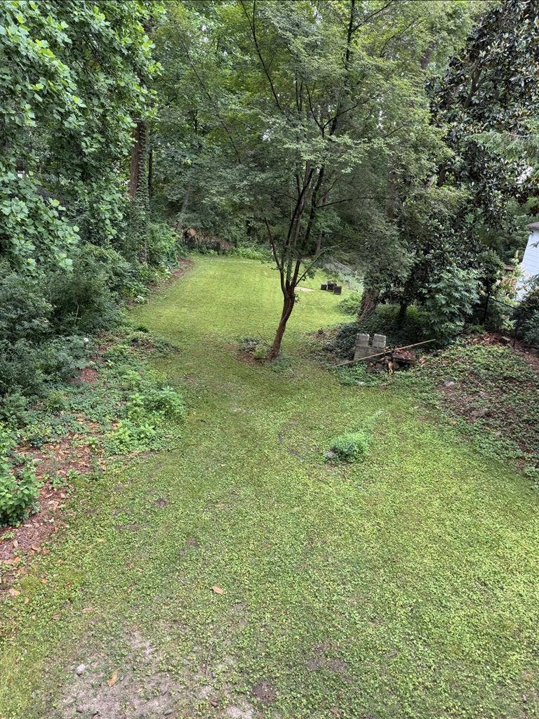 Buckhead Basement Apartment