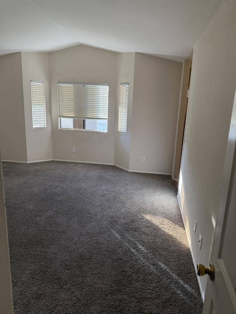 Looking for a roomate