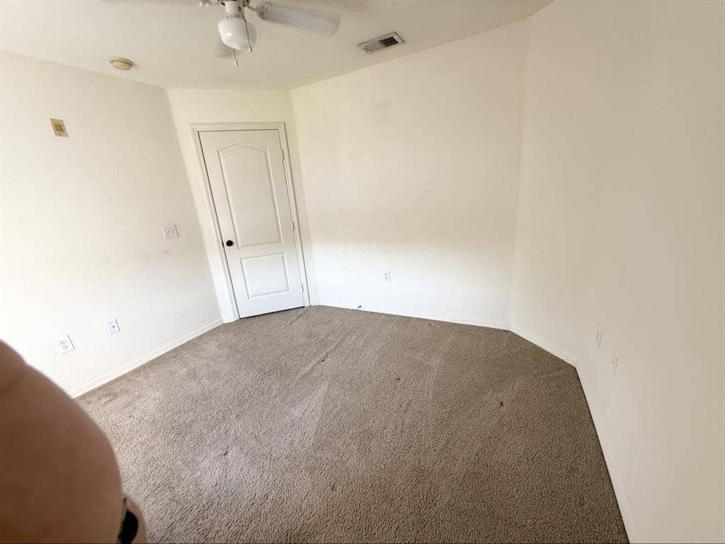 Looking for a roommate