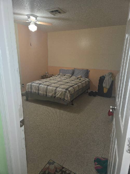 Roommate wanted
