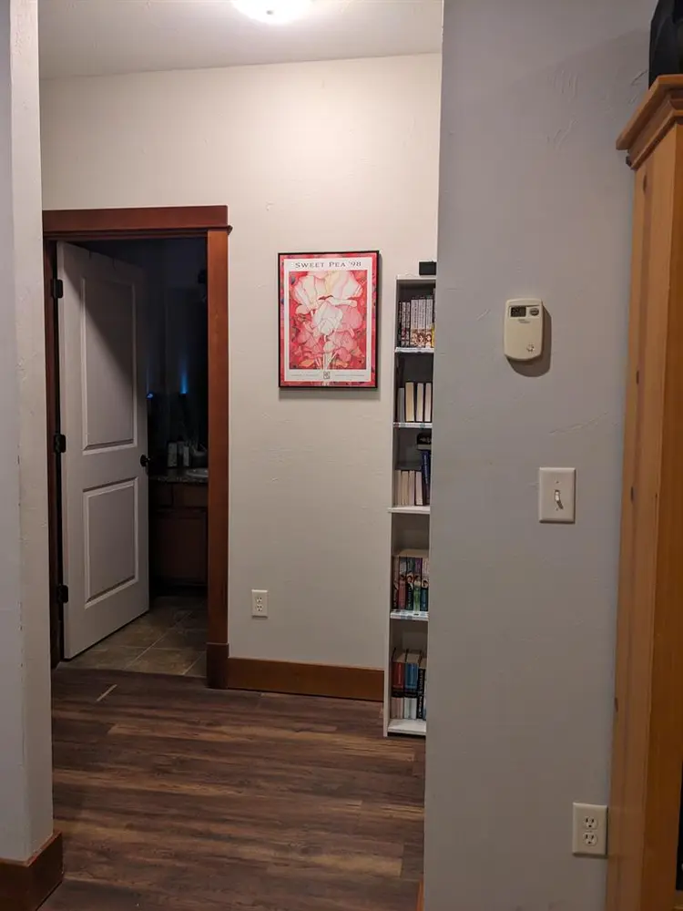 Looking for roommates!