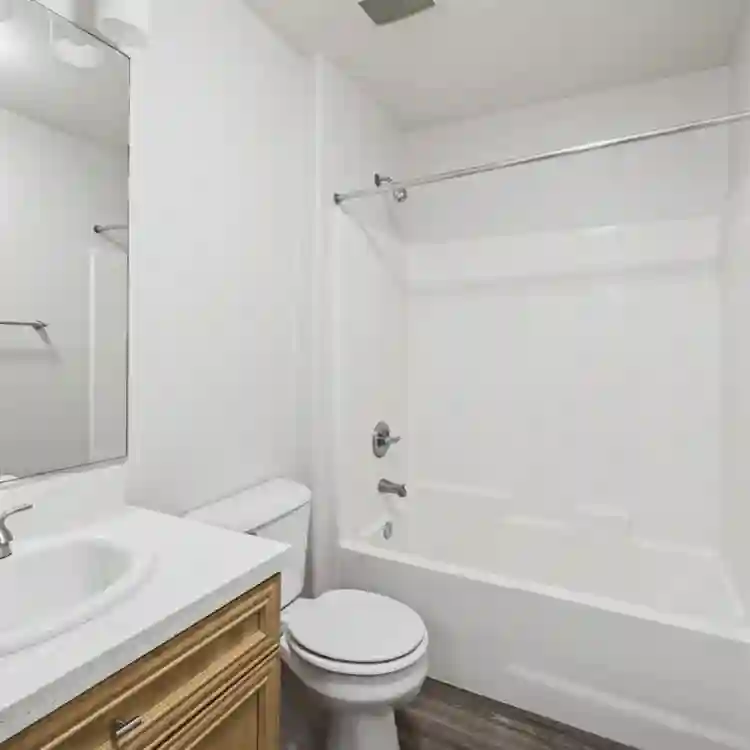 Looking for roommate(s)