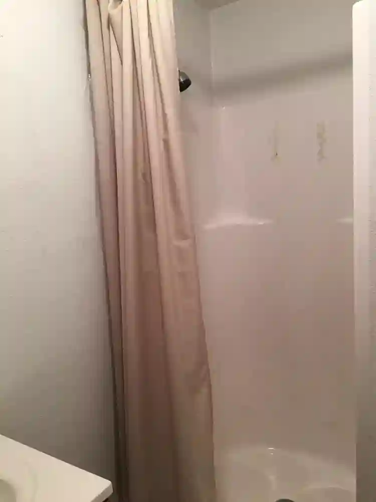 Responsible tenant no drama no drug