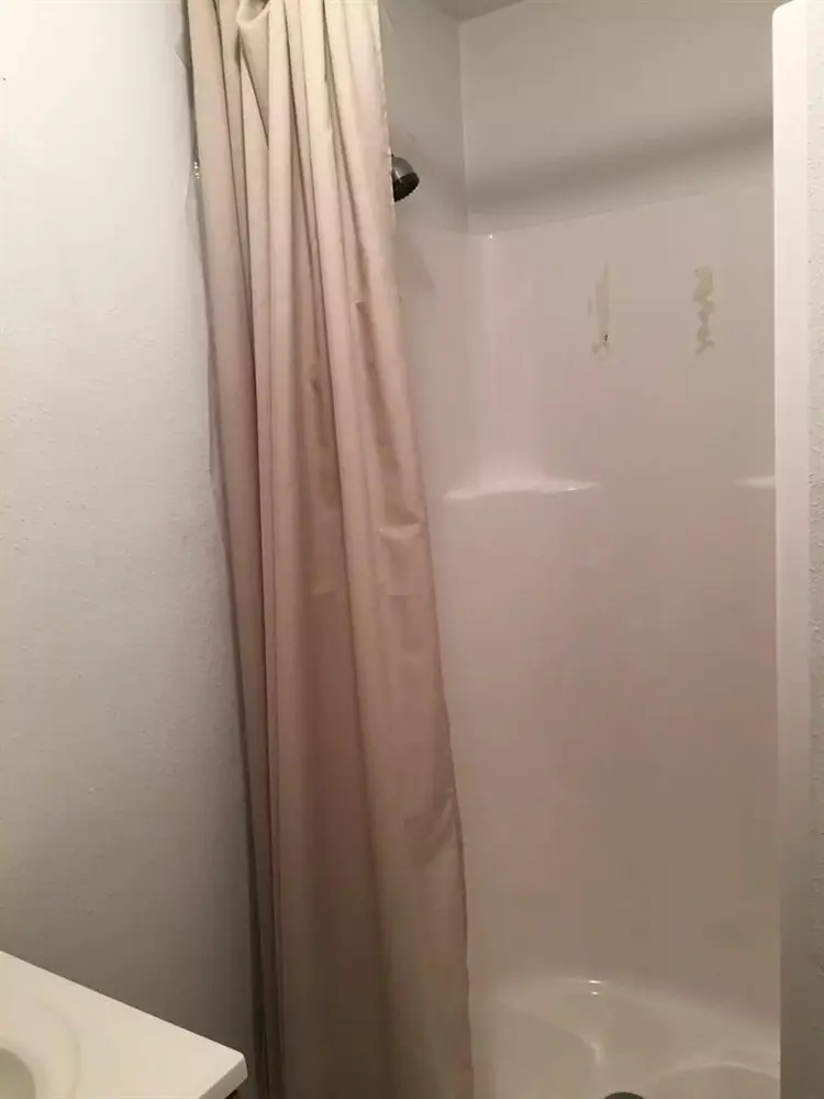 Responsible tenant no drama no drug