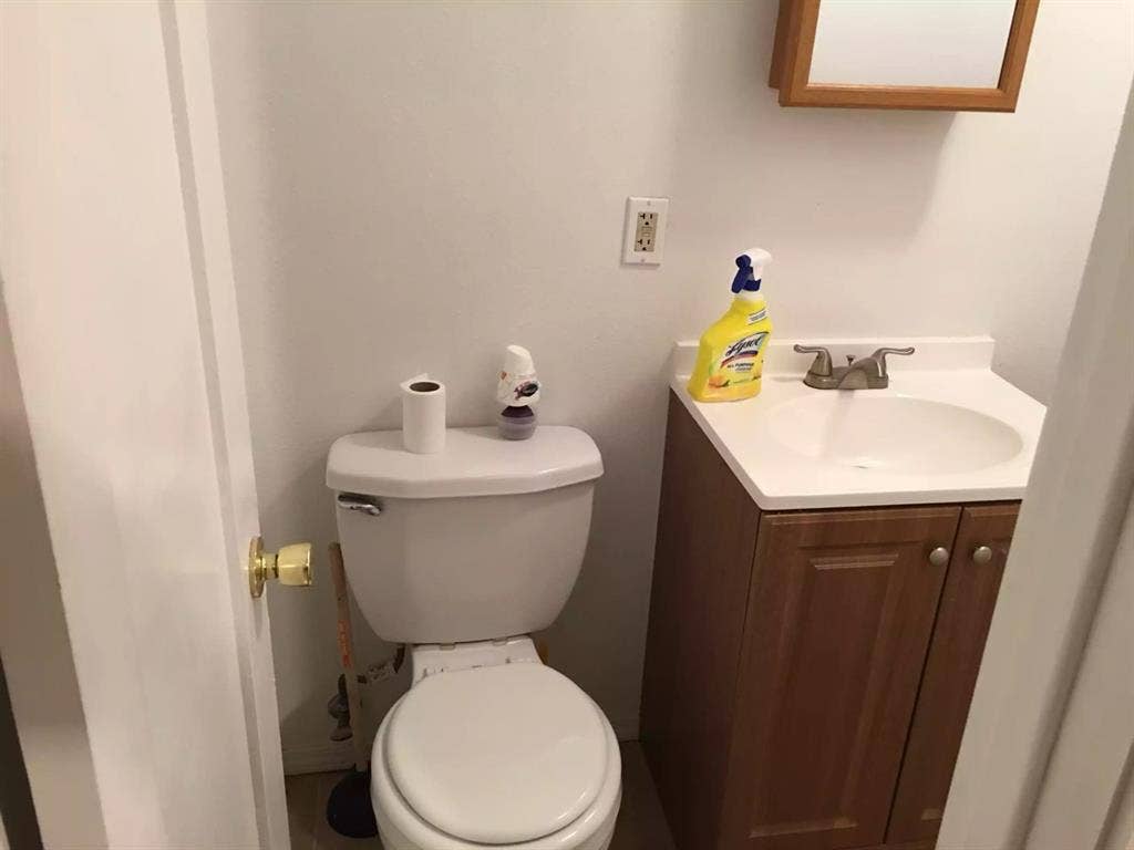 Responsible tenant no drama no drug