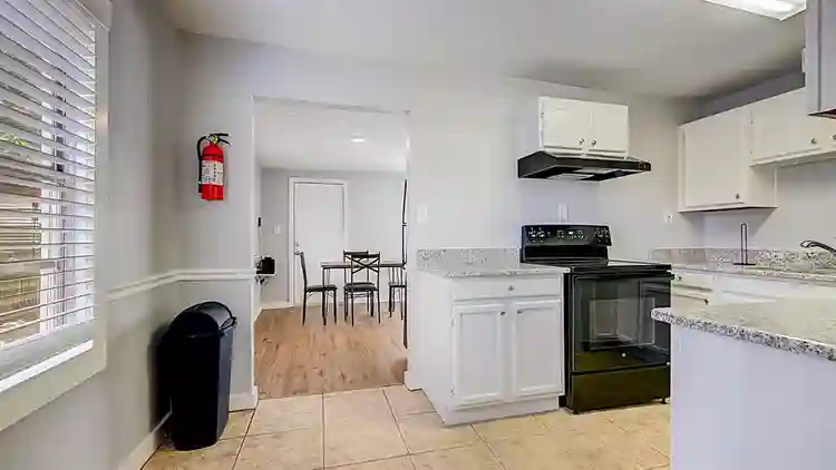 5 BR in Tampa
