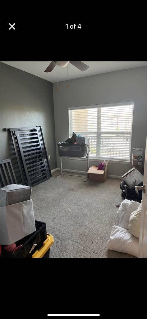 Need a female roommate