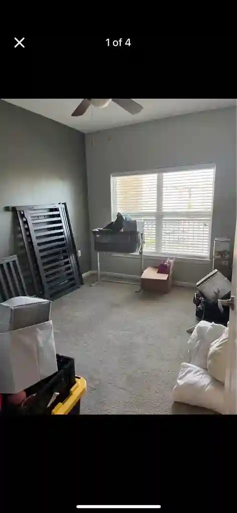 Need a female roommate