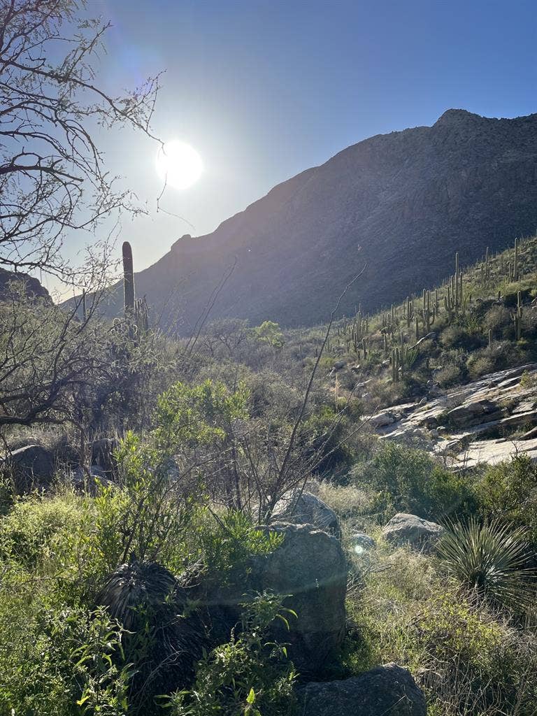 Great room and house !