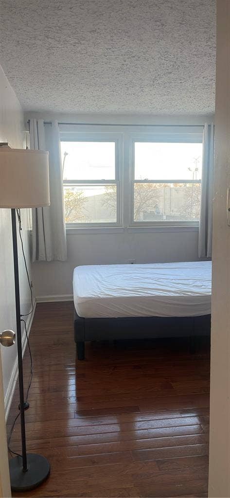 Looking for a Female Roommate