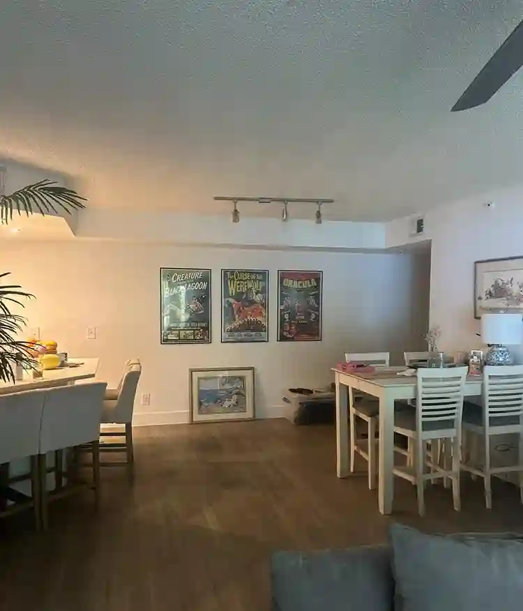 Looking for a roommate!