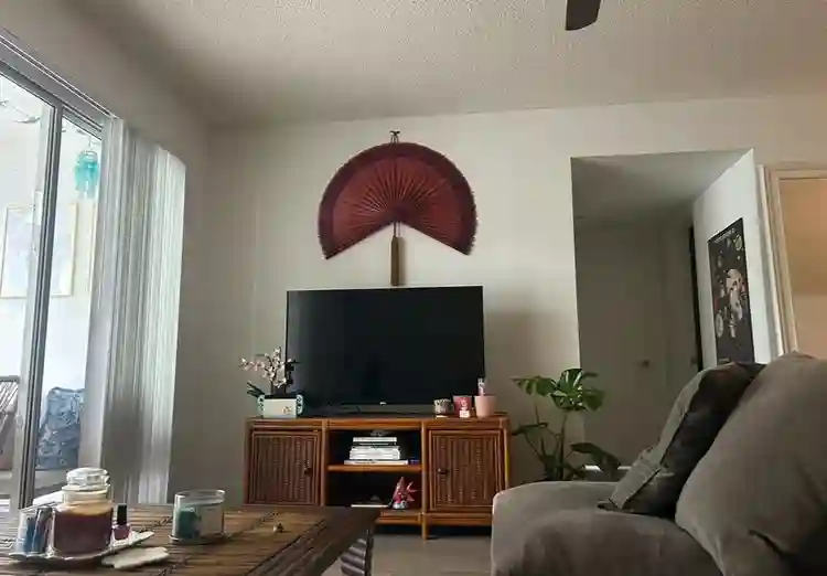 Looking for a roommate!