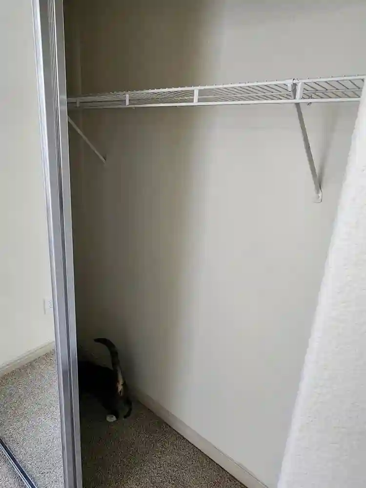 Room for Rent Temecula. Men welcome