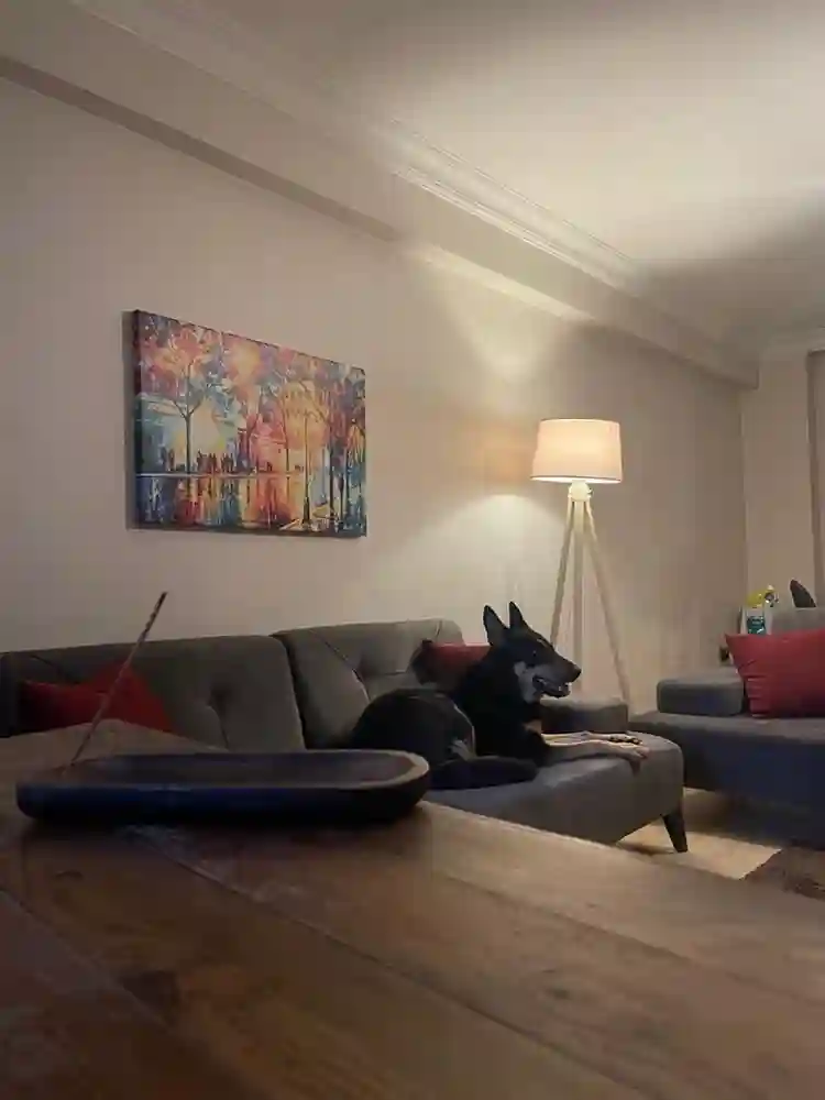 Kadıköy de kiralık oda