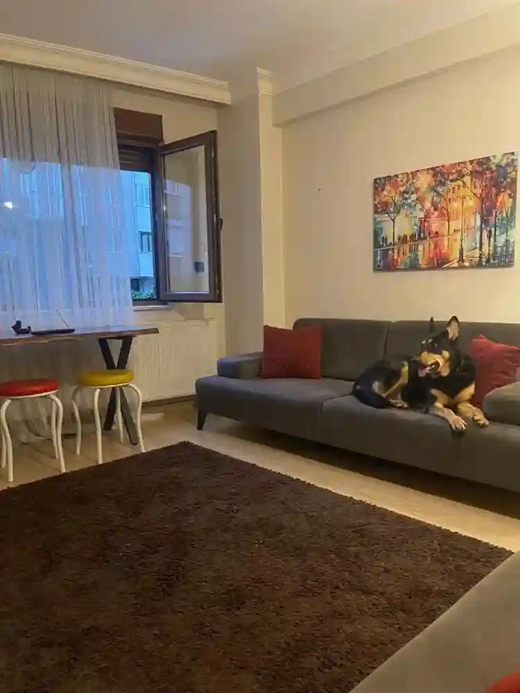 Kadıköy de kiralık oda