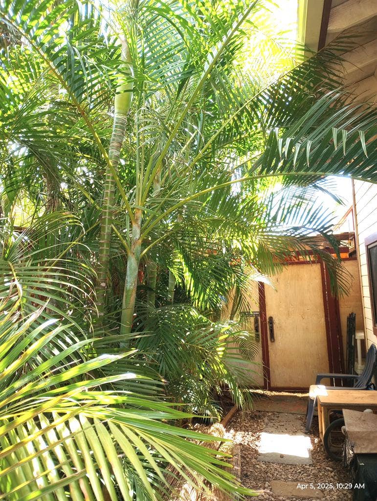 Priv.entry-(not in mainH)Share Bath