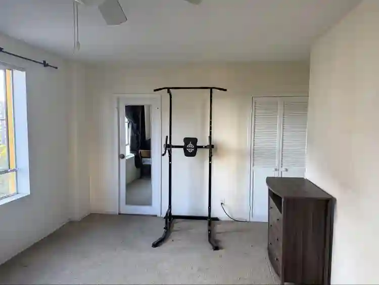 Private Room in a b Apartment