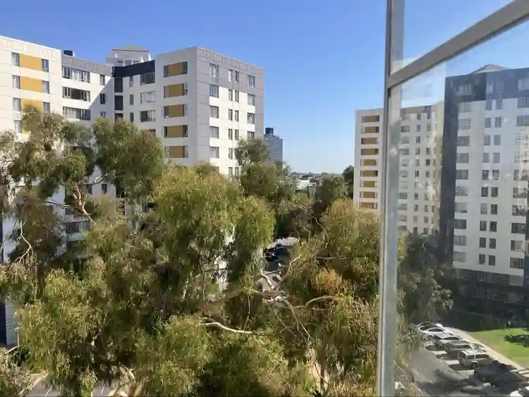 Private Room in a b Apartment