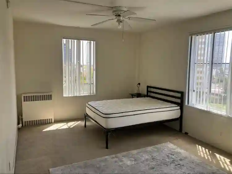 Private Room in a b Apartment