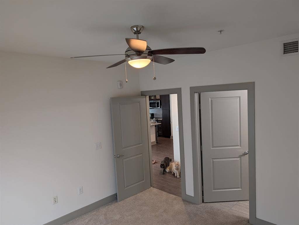 Room for Rent in BA Apartment