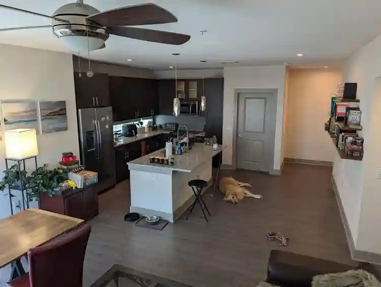 Room for Rent in BA Apartment