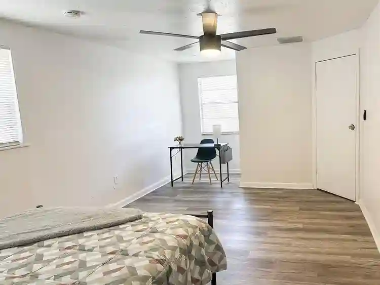 8 BR in Tampa