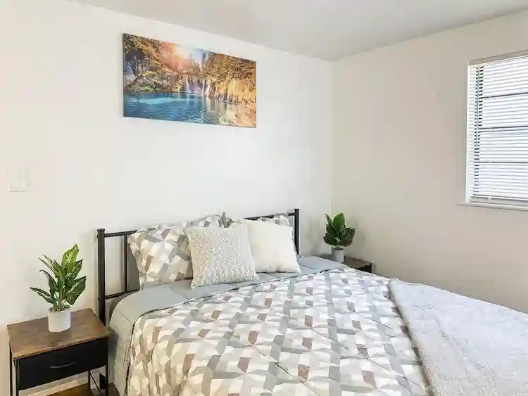 8 BR in Tampa