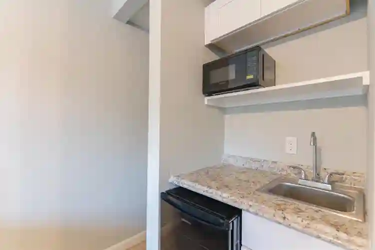 1 BR in Houston