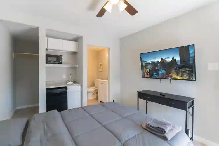 1 BR in Houston