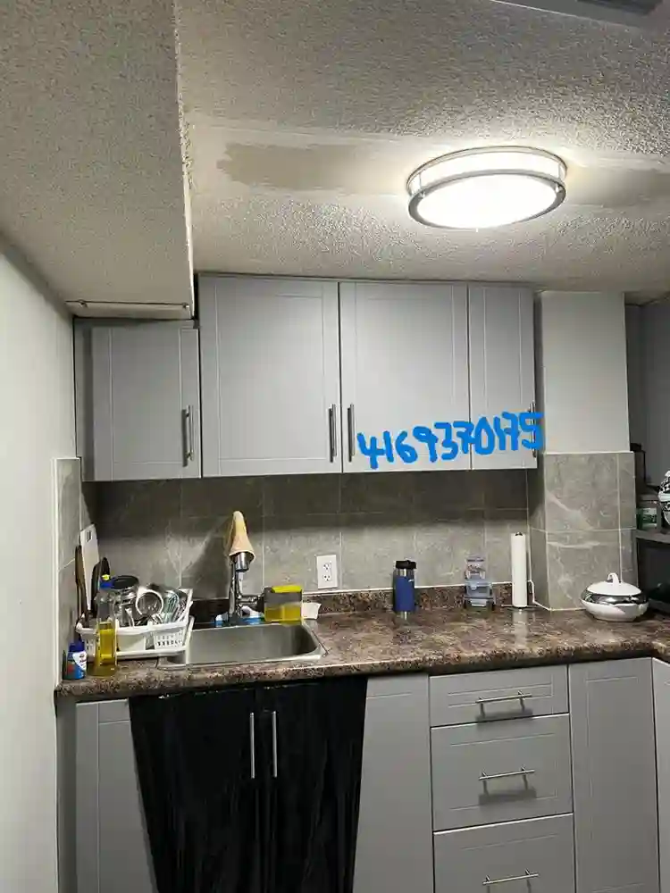 1 bedroom basement in Basement Jan