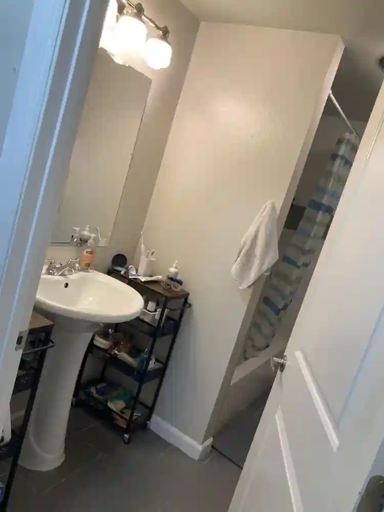 Looking for 3 more roommates!