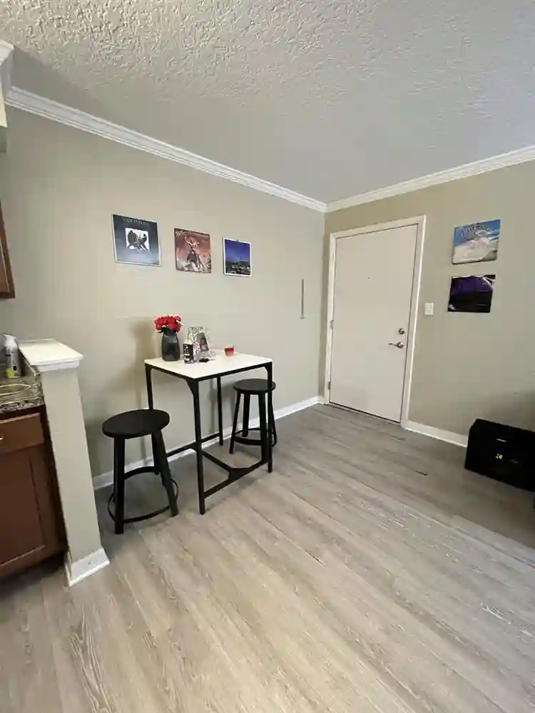 Lease Takeover near USF Tampa!