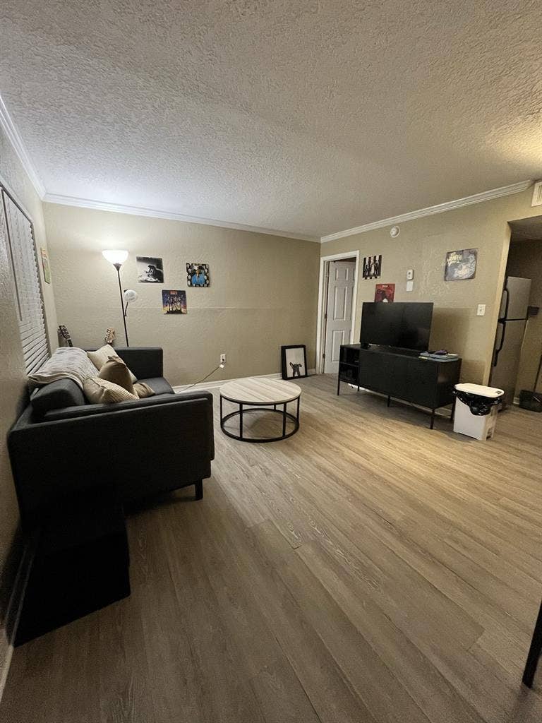 Lease Takeover near USF Tampa!