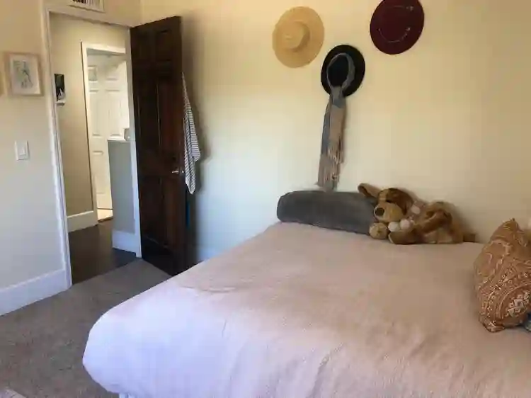 Room in Community House - $