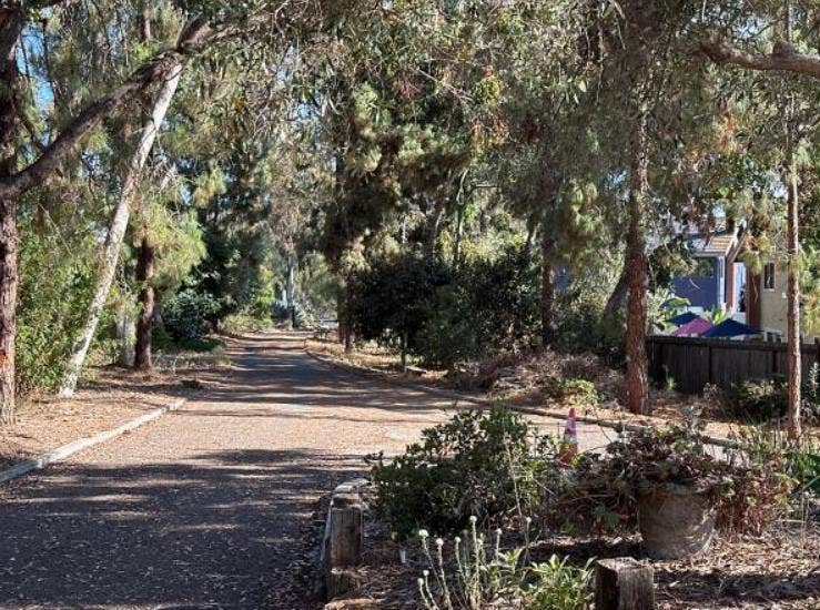 Room in Community House - $