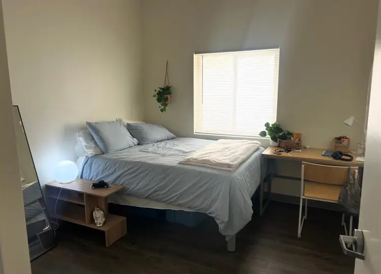 Room at Social Apartments