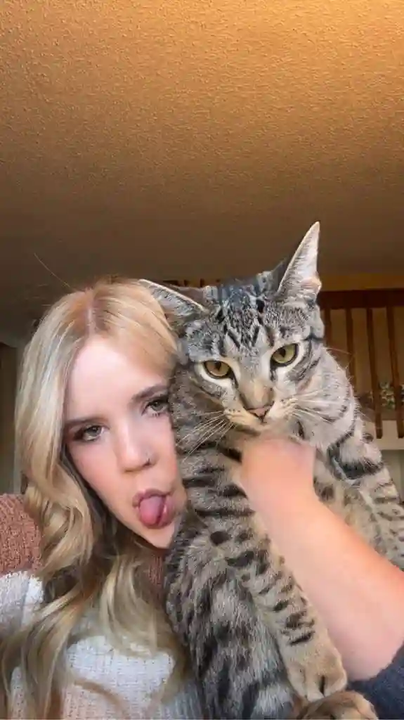 Room available in Lakewood townhome