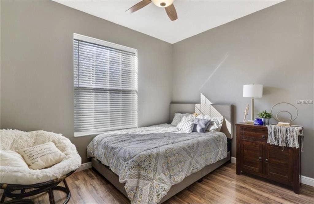 Female Housemate Wanted in Tampa