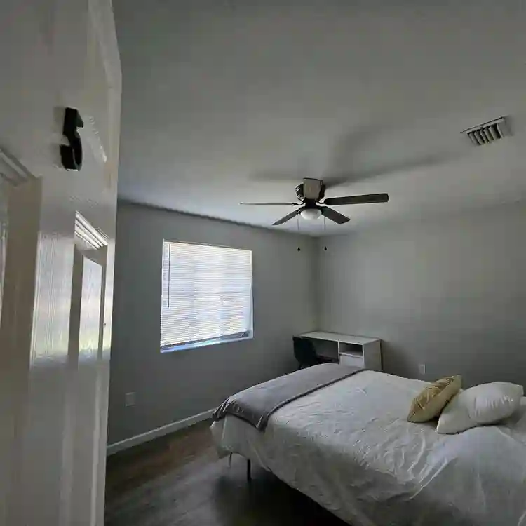 6 BR in Orlando