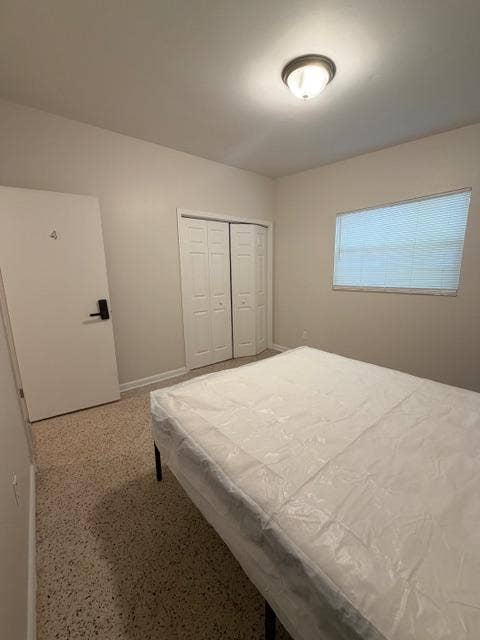 9 BR in Tampa