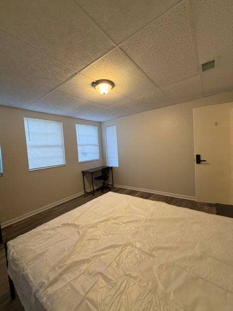 9 BR in Tampa