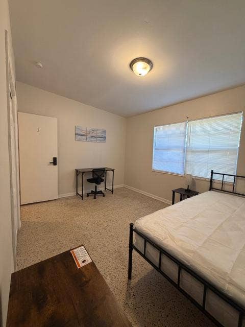 9 BR in Tampa