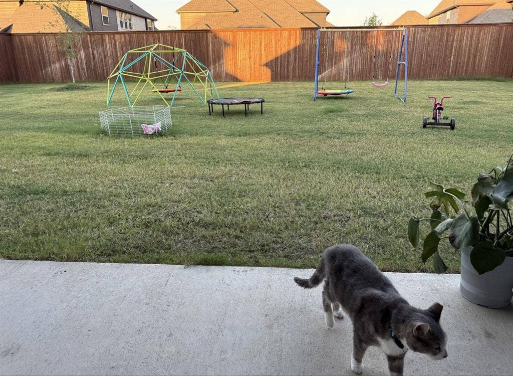 Room in brand new house for female